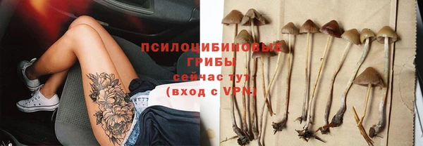 гидропоника Володарск
