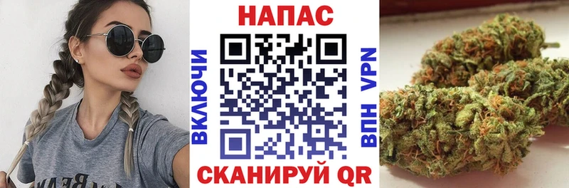 Купить  Чадан  Конопля Ganja 